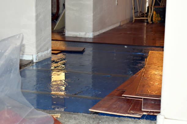 Professional Water Damage Restoration technician working in Webster, SD